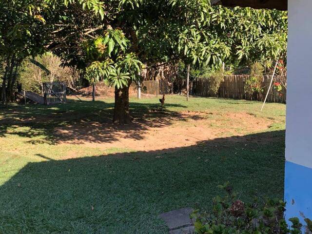 #195 - Chácara para Venda em Guaratinguetá - SP - 3